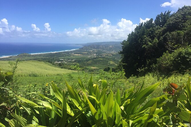 Barbados Highlights and Rum Tour - Cherry Tree Hill gives you the morning’s best view