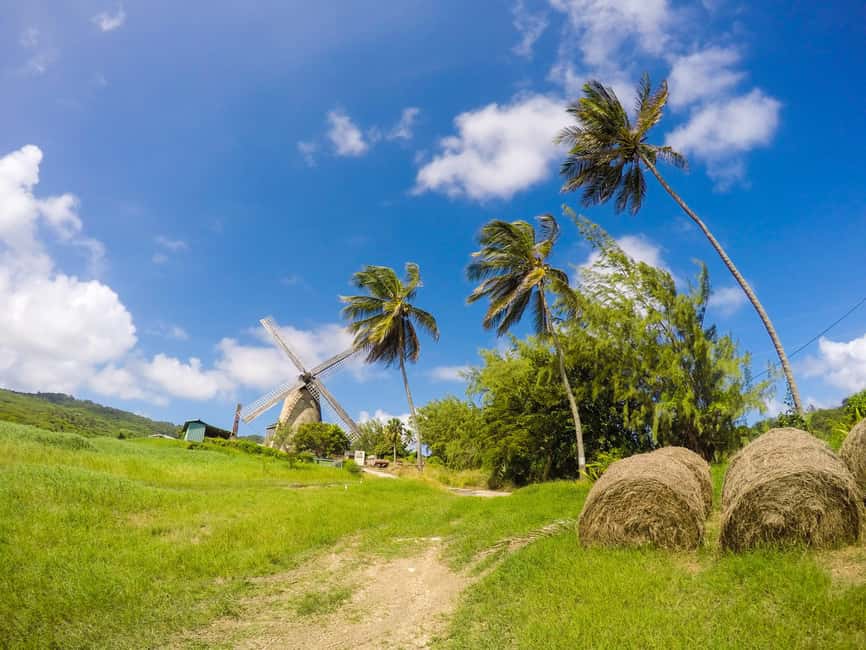 Barbados Highlights Tour - What this Barbados highlights tour does well