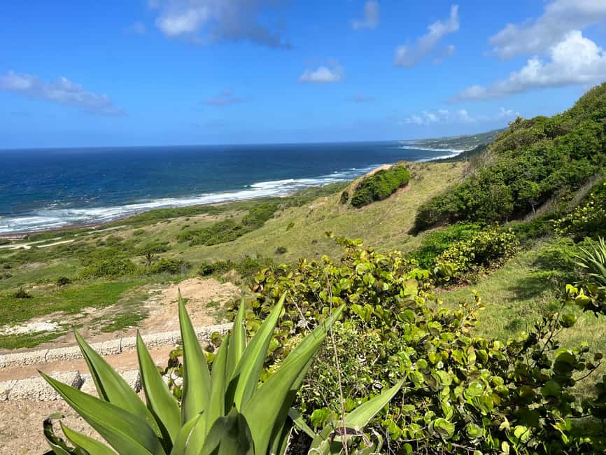 Barbados Highlights Tour - Rihanna Drive gives the tour a personal opening