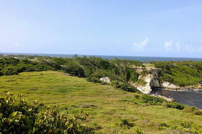 Barbados Hiking and Sightseeing Tour (Transport Included) - What the guides add to the ride