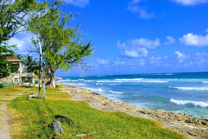 Barbados Hiking and Sightseeing Tour (Transport Included) - Wildlife, scenery, and the rhythm of the route