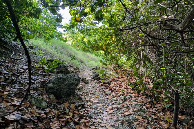 Barbados Hiking and Sightseeing Tour (Transport Included) - Bayfield is the practical starting point