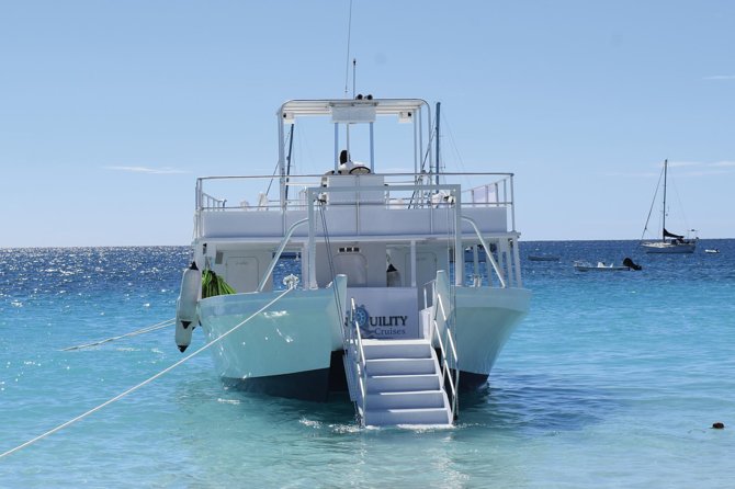 Barbados Island Tour, Monkey feeding & Swimming with the Turtles - Carlisle Bay, turtles, and the shipwreck