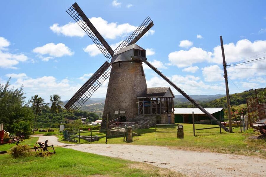 Barbados: Island Tour with Animal Flower Cave and Lunch - Animal Flower Cave: the main attraction