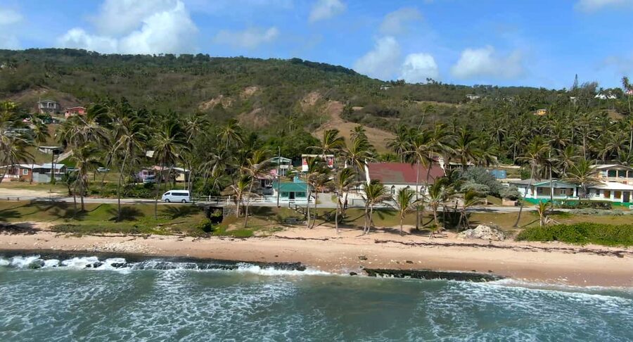 Barbados: Island Tour with Animal Flower Cave and Lunch - Who should book this island tour?
