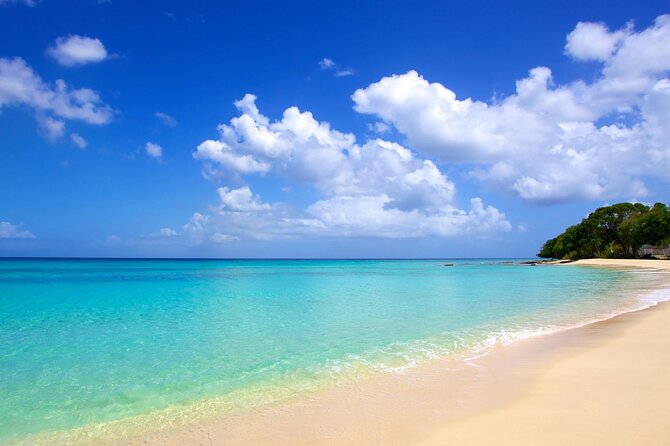 Barbados -Luxury Cruise with Lunch and Open Bar By Oceanluxx - Who will enjoy this Barbados cruise most