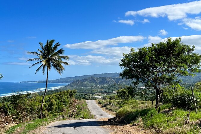 Barbados Paradise Tour with Hotel Transfers - Five useful things to know before you book
