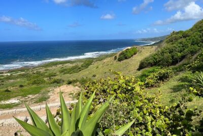 Barbados Paradise Tour with Hotel Transfers