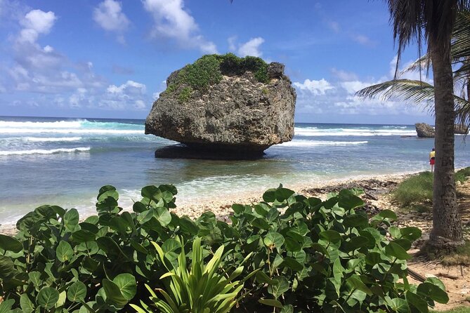 Barbados Paradise Tour with Hotel Transfers - The Rihanna stop is brief but personal