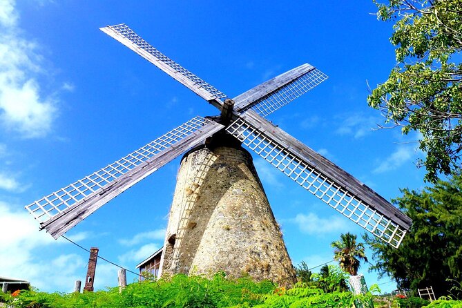 Barbados Paradise Tour with Hotel Transfers - Carlisle Bay is where the day slows down