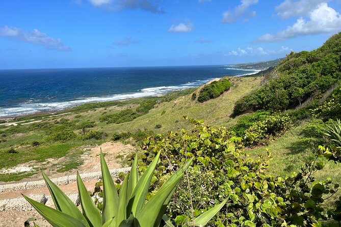 Barbados Paradise Tour with Hotel Transfers - Cherry Tree Hill gives you the big view first