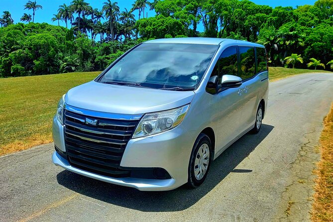 Barbados Private Arrival Transfer from Airport (BGI) - A calm landing at Grantley Adams International Airport