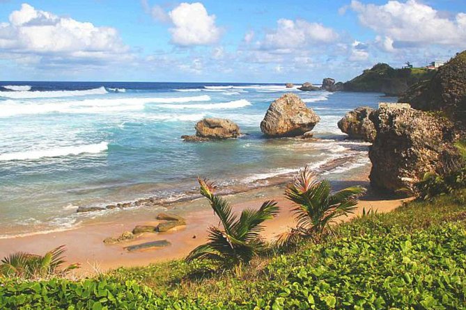 Barbados Private Custom Island Tour - Key points to know before you book