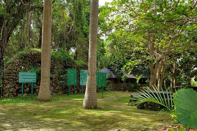 Barbados Private Custom Island Tour - Harrison’s Cave needs the biggest block of time