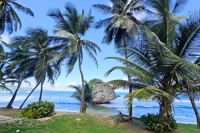Barbados Private Island Tour: A Fully Customizable Experience - Key details to know before booking