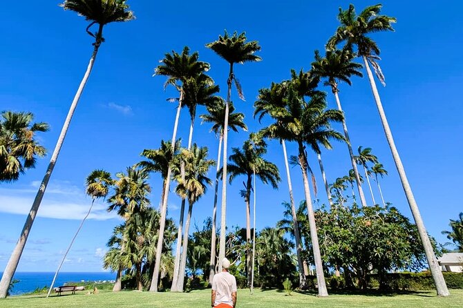 Barbados Private Island Tour: A Fully Customizable Experience - Harrison’s Cave and the island underground