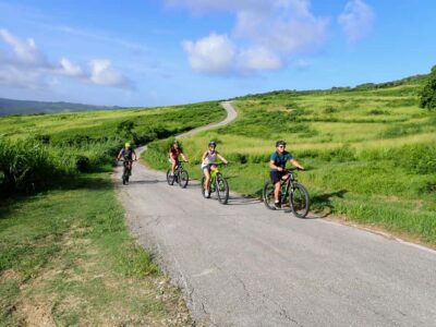Rural Tracks and Trails Guided E-Bike Tour