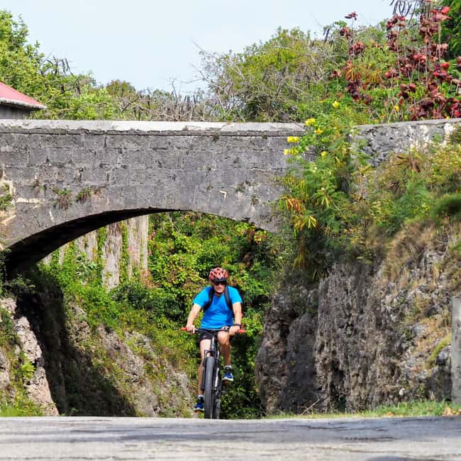Barbados: Rural Tracks and Trails Guided E-Bike Tour - Casuarina trails, country roads, and small wildlife sightings