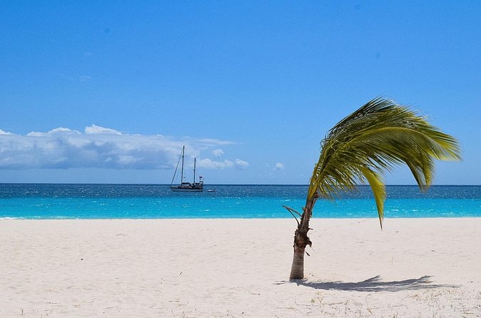 Barbados Shore Excursion: Bajan Highlights - Bathsheba Beach and the Atlantic side of Barbados