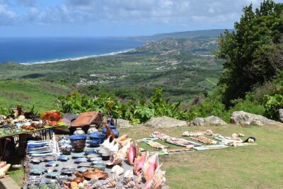 Barbados Shore Excursion: Bajan Highlights