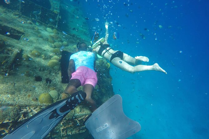 Barbados Shore Excursion: Carlisle Bay Turtle & Shipwreck - Transport from the cruise port needs careful planning