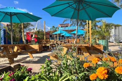 Barbados Shore Excursion: Wildlife Encounter and Beach Day