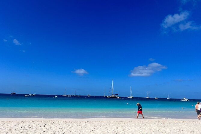 Barbados Shore Excursion: Wildlife Encounter and Beach Day - Carlisle Bay and Savvy on the Bay