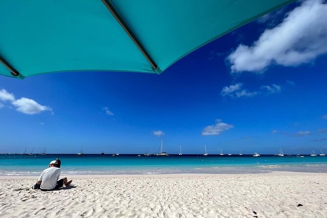 Barbados Shore Excursion: Wildlife Encounter and Beach Day - The optional boat, swimming, and snorkeling upgrade
