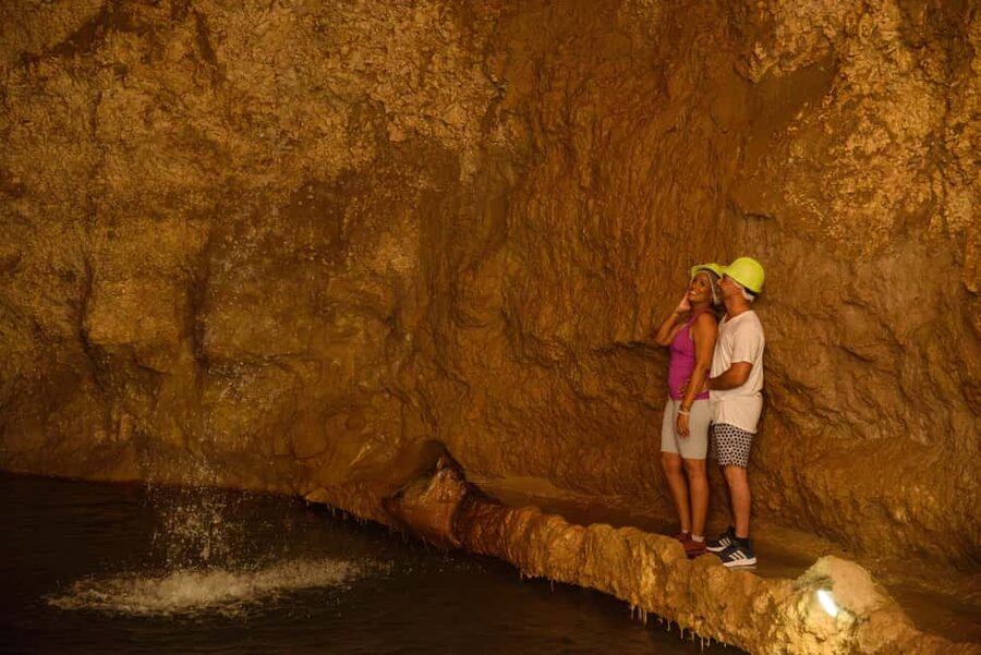 Barbados: Signature Park Pass & Gully Challenge Adventure - Should you book the Signature Park Pass?