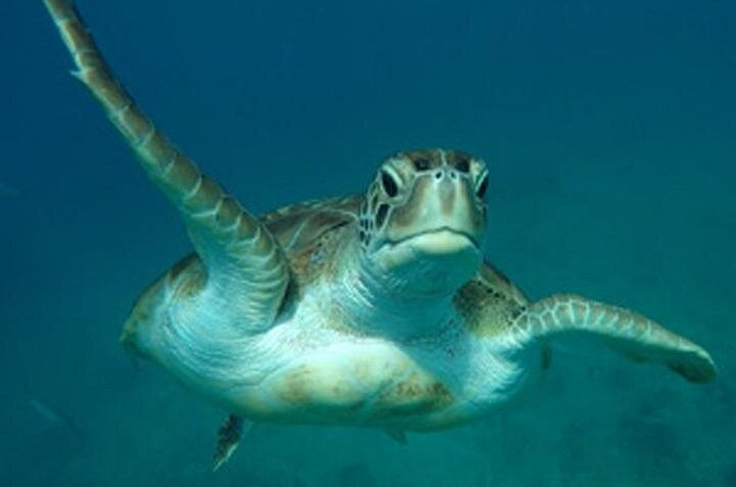 Barbados Sunset and Snorkeling Catamaran Cruise - Sailing the west coast as the light fades