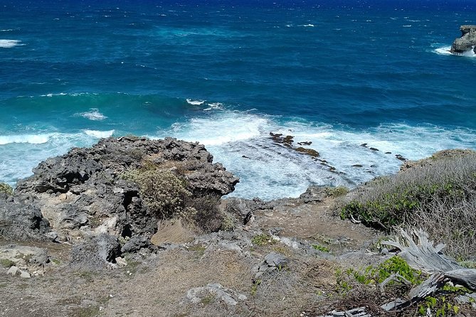 Barbados through the eyes of a local - A private Barbados tour built around your interests