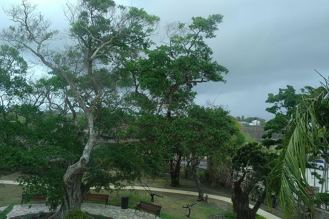 Barbados through the eyes of a local - Mount Gay and the story of Bajan rum