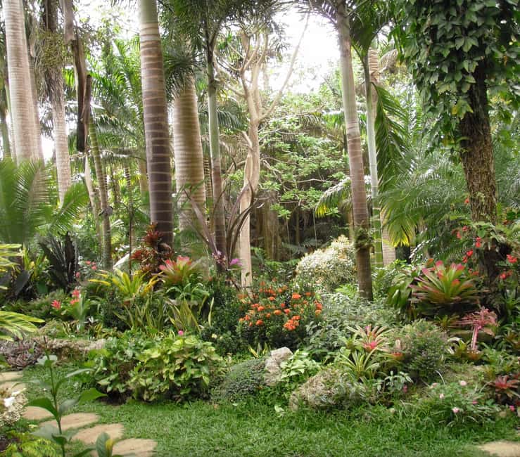 Barbados: Tour of Harrison's Cave & Hunte's Gardens - Hunte’s Gardens: a peaceful change of pace