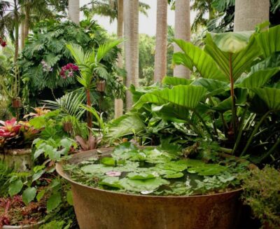 Tour of Harrison’s Cave & Hunte’s Gardens