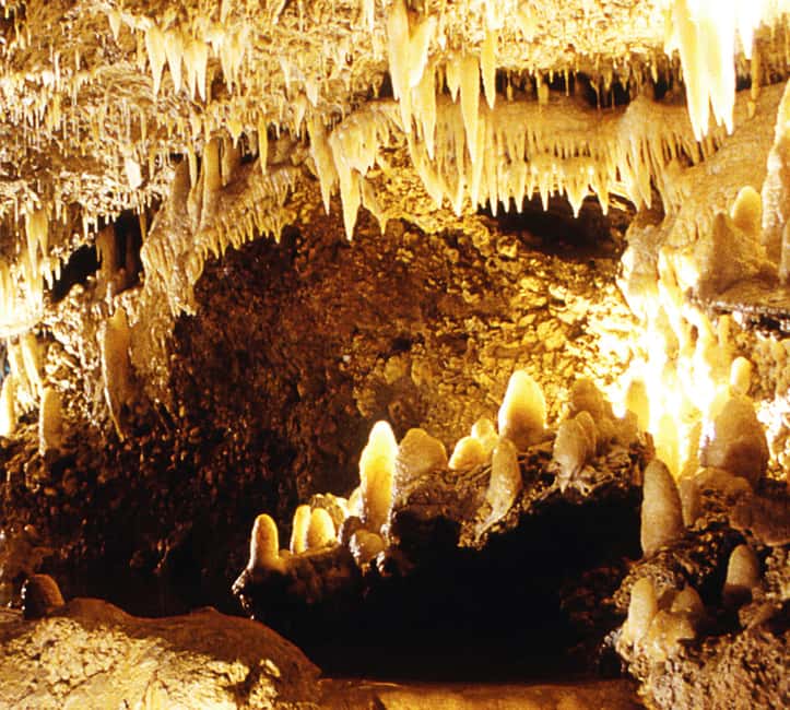 Barbados: Tour of Harrison's Cave & Hunte's Gardens - Is $155 good value?