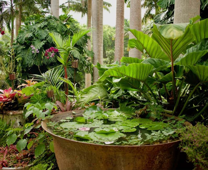 Barbados: Tour of Harrison's Cave & Hunte's Gardens - The road between stops is part of the tour