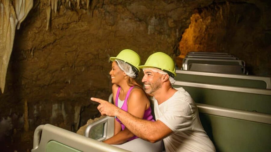 Barbados: Trail, Tram & Rum Experience - How the Day Is Organized