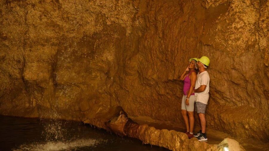 Barbados: Trail, Tram & Rum Experience - Is the $145 Price Fair?