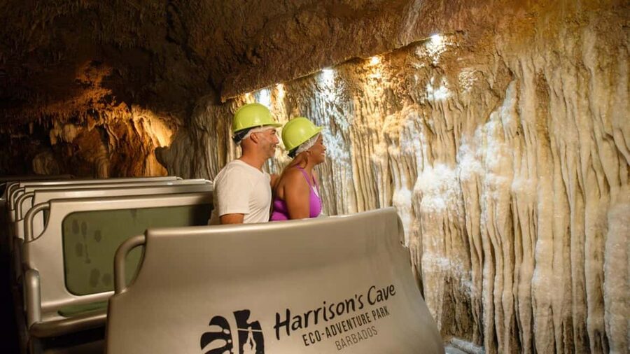 Barbados: Trail, Tram & Rum Experience - Should You Book the Trail, Tram & Rum Experience?