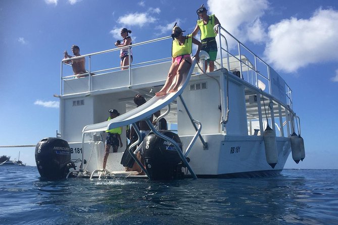 Barbados Turtle and Shipwreck Snorkel Adventure - Six wrecks, fish, and the main underwater attraction