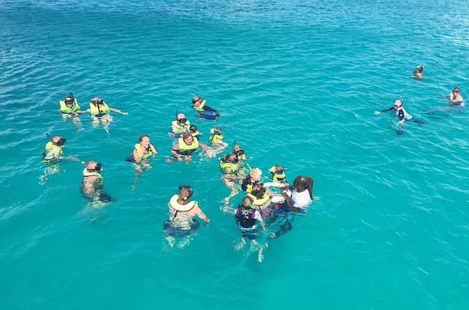 Barbados Turtle and Shipwreck Snorkel Adventure - The boat, glass-bottom viewing, and extras