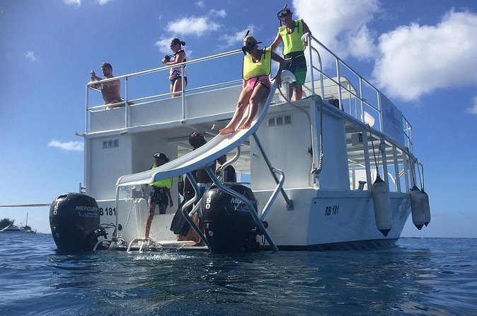 Barbados Turtle and Shipwreck Snorkel Adventure - Who should book this Barbados excursion?