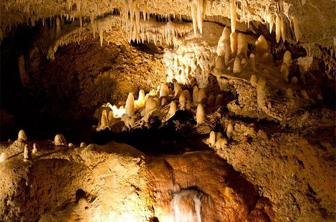 Beautiful Barbados: Harrisons Cave & Beach Day Tour - Who should choose this Barbados tour?