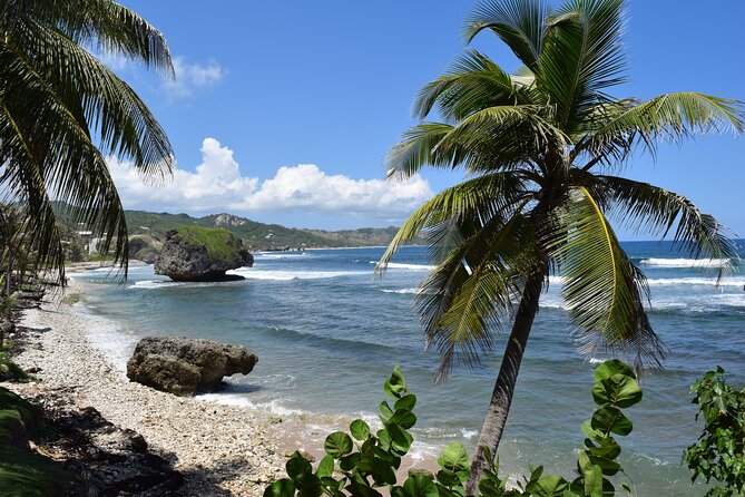 Beautiful Coastal Sightseeing Tour of Barbados - Codrington College offers calm and history