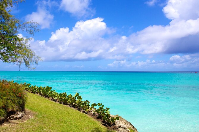 Beautiful Coastal Sightseeing Tour of Barbados - Bathsheba shows Barbados at its wildest