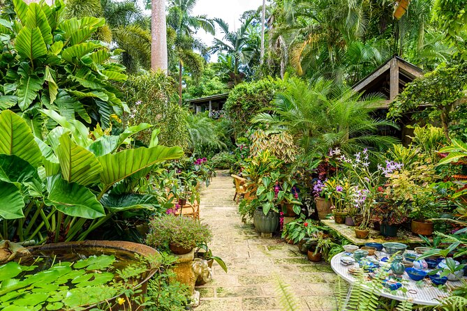 Breathtaking Wonders - Harrisons Cave and Hunte's Gardens - Hunte’s Gardens inside a Barbados gully