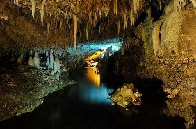 Breathtaking Wonders - Harrisons Cave and Hunte's Gardens - Is $155 a fair price?