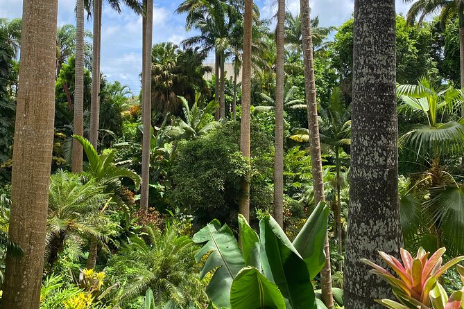 Breathtaking Wonders - Harrisons Cave and Hunte's Gardens - Banana bread, rum punch, and the pace of a half-day