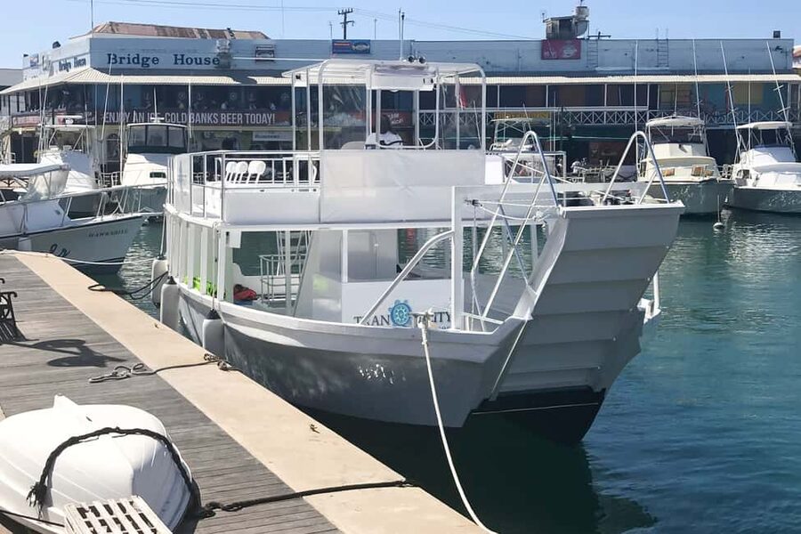 Bridgetown: Carlisle Bay Turtle and Shipwreck Boat Cruise - Swimming with turtles, without the guarantee