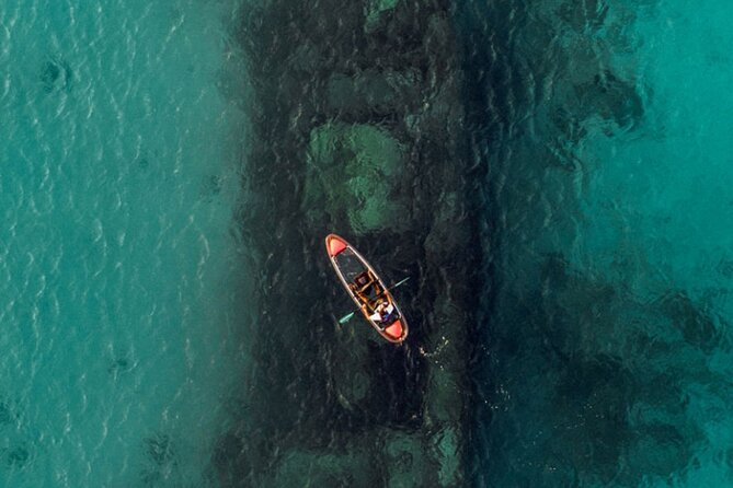 Carlisle Bay Clear Kayak Shipwreck Tour - What the clear kayak actually lets you see